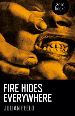 Cover of the book Fire Hides Everywhere by Joanna van der Hoeven