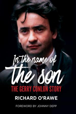 Cover of the book In the Name of the Son by Rúan O'Donnell