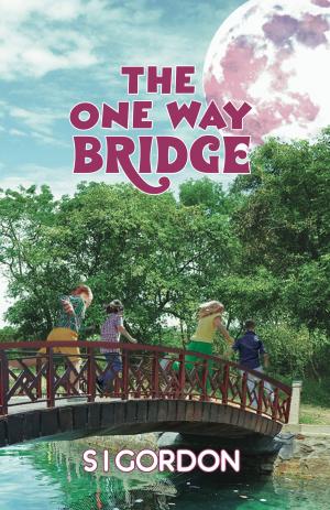 Cover of the book The One Way Bridge by Phil Barnes