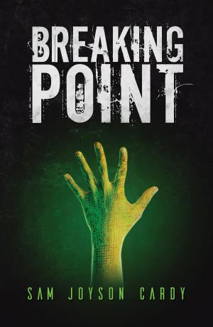 Cover of the book Breaking Point by Wendu Mekbib