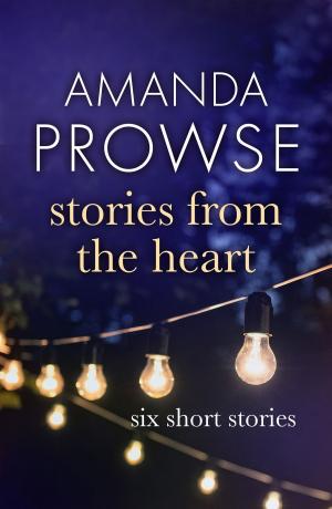 Cover of the book Stories from the Heart by Tania Crosse