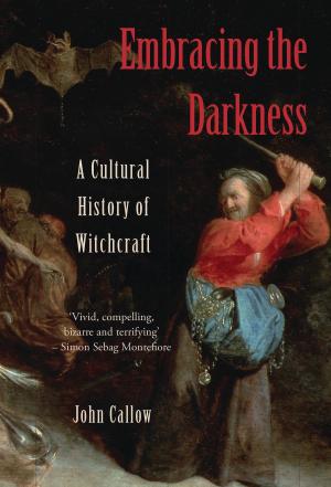 Cover of the book Embracing the Darkness by Mr Joseph A. McCullough