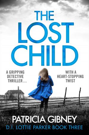 Cover of the book The Lost Child by S.E. Lynes