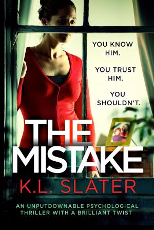 Cover of the book The Mistake by Michael Scanlon