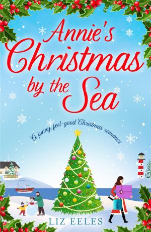 Cover of the book Annie's Christmas by the Sea by Monica James