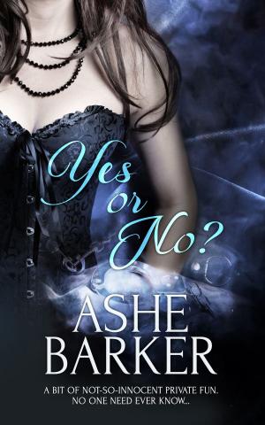 Cover of the book Yes or No? by Angel  Martinez, Bellora Quinn