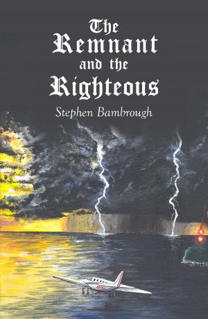 Book cover of The Remnant and the Righteous