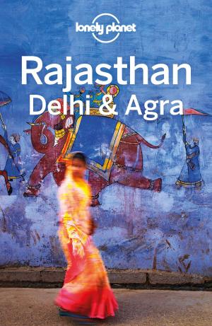 Book cover of Lonely Planet Rajasthan, Delhi & Agra