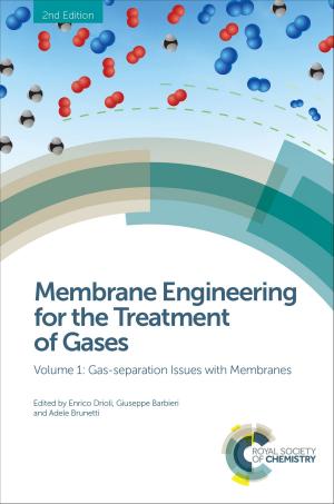 Book cover of Membrane Engineering for the Treatment of Gases