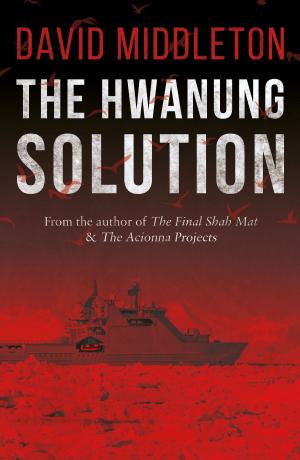 Cover of the book The Hwanung Solution by James Brook, Dr Paul Brewerton