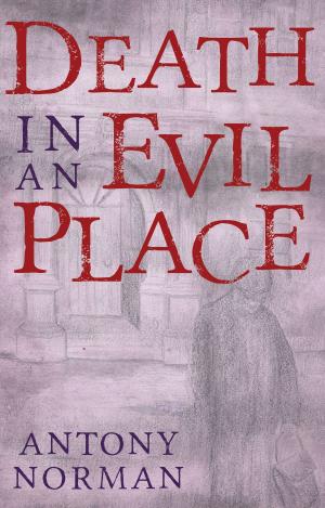 Cover of the book Death in an Evil Place by Andreas Roeske