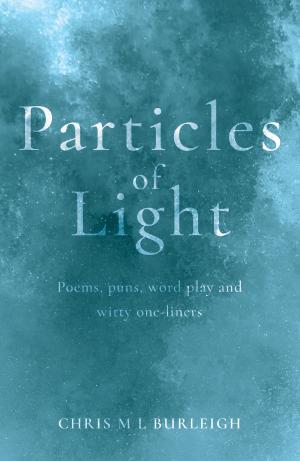 Cover of the book Particles of Light by Joe Pemberton