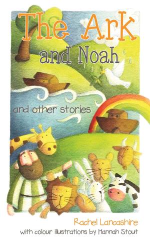 Cover of the book The Ark and Noah by Steve Hawkins
