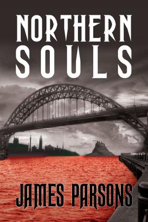 Cover of the book Northern Souls by Jennifer Rogers