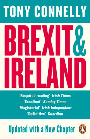 Cover of the book Brexit and Ireland by Luo Guanzhong