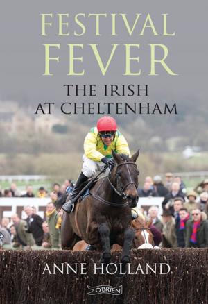 Cover of the book Festival Fever by Gerry Adams