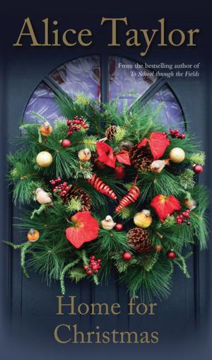 Cover of the book Home For Christmas by Judi Curtin