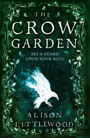 Book cover of The Crow Garden
