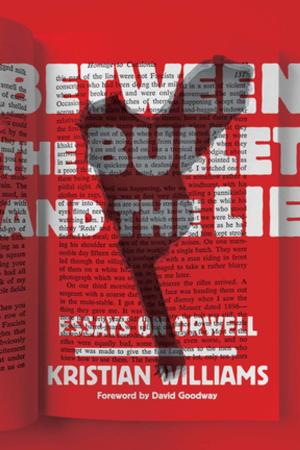 Cover of the book Between the Bullet and the Lie by Eric Laursen