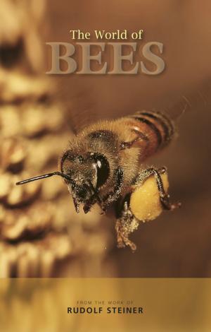 Cover of the book The World of Bees by Rudolf Steiner