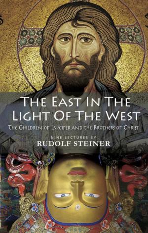 Book cover of The East in the Light of the West