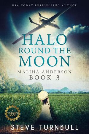 Book cover of Halo Round the Moon