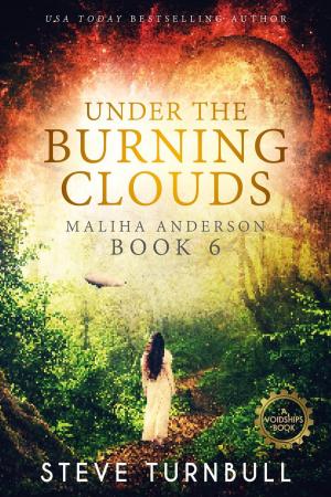 Book cover of Under the Burning Clouds