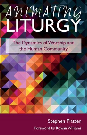 Cover of the book Animating Liturgy by Stephen Cherry