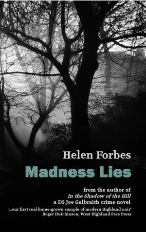 Cover of the book Madness Lies by Helen MacKinven