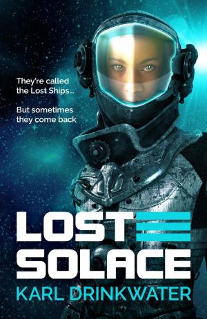 Book cover of Lost Solace