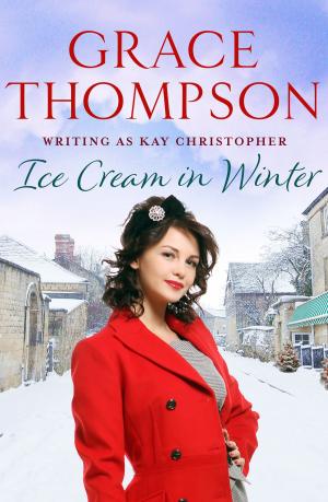 Cover of the book Ice Cream in Winter by Janet Tanner