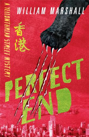 Cover of the book Perfect End by Victor Canning