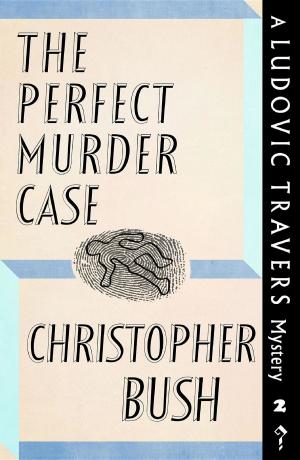 Cover of the book The Perfect Murder Case by Ianthe Jerrold