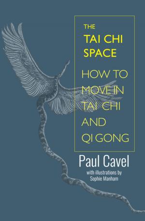 bigCover of the book The Tai Chi Space by 