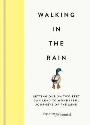 Cover of the book Walking in the Rain by Lizzie Mabbott