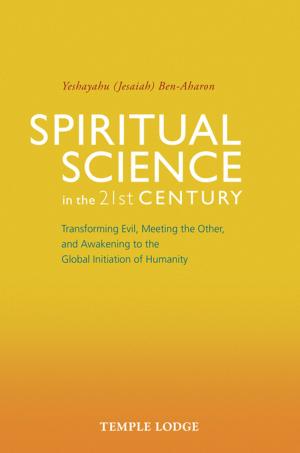 Cover of the book Spiritual Science in the 21st Century by Anne M Angell
