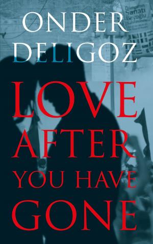 bigCover of the book Love After You Have Gone by 