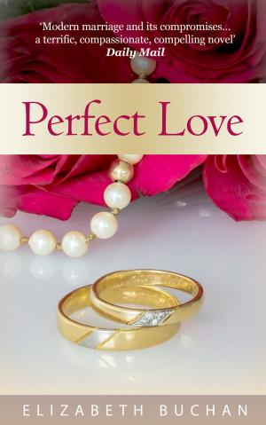 Cover of the book Perfect Love by Tamara Morgan