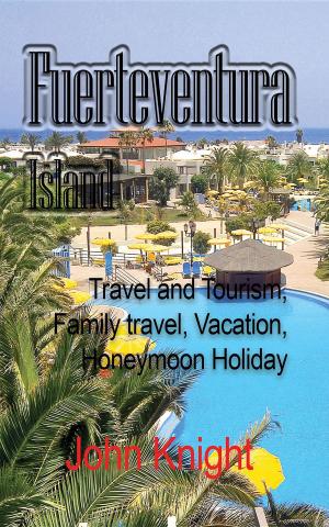 Cover of the book Fuerteventura Island by Kelly Boykin