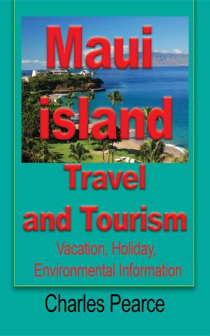 Cover of the book Maui Island Travel and Tourism by Gabriela Taylor