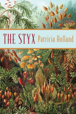 Cover of the book The Styx by Anne Fitzpatrick