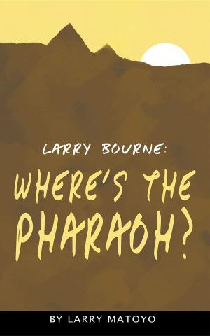 Cover of the book Larry Bourne by Phillip N Hancock Sr