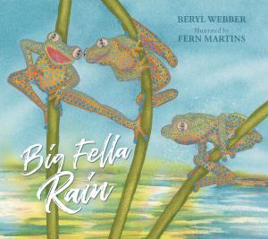bigCover of the book Big Fella Rain by 