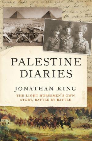 Cover of the book Palestine Diaries by Paul Verhaeghe