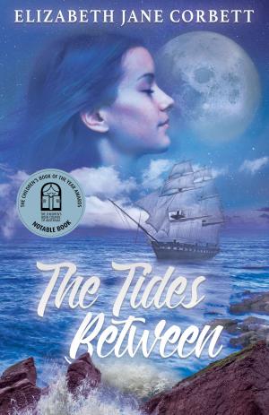Cover of the book The Tides Between by Rachel Drummond