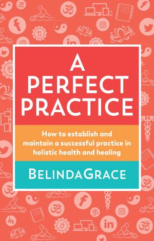 Cover of the book A Perfect Practice by KERRIE ERWIN
