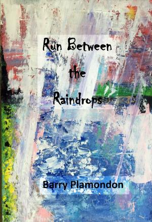 Cover of the book Run Between the Raindrops by Edward K Horton