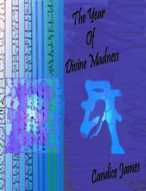 Cover of the book Year of Divine Madness by Lozan Yamolky