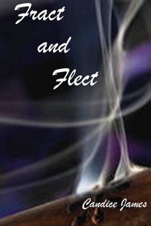 Cover of the book Fract and Flect by Candice James