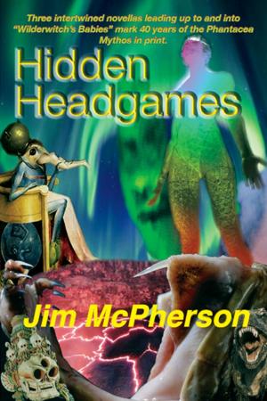 Cover of the book Hidden Headgames by L.T. Suzuki
